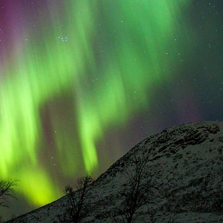 6 Person Holiday Home In Olderdalen エクステリア 写真